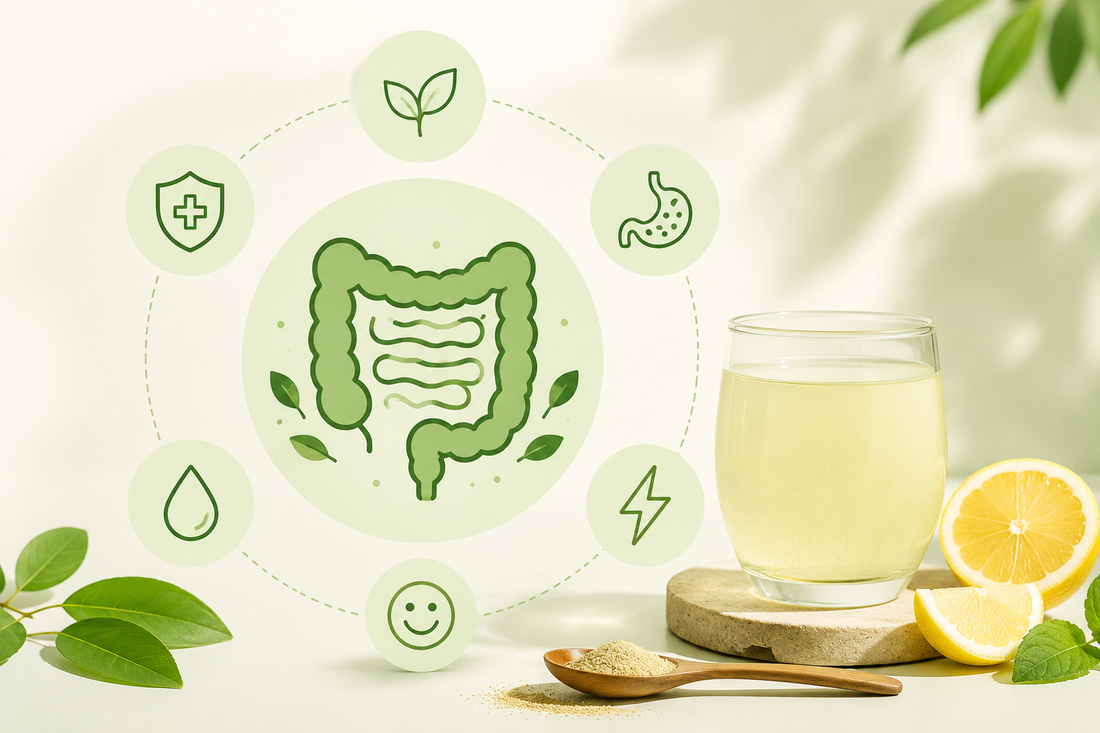 Why the Best Probiotic Drink for Gut Health Matters Every Day