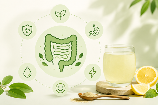 Why the Best Probiotic Drink for Gut Health Matters Every Day
