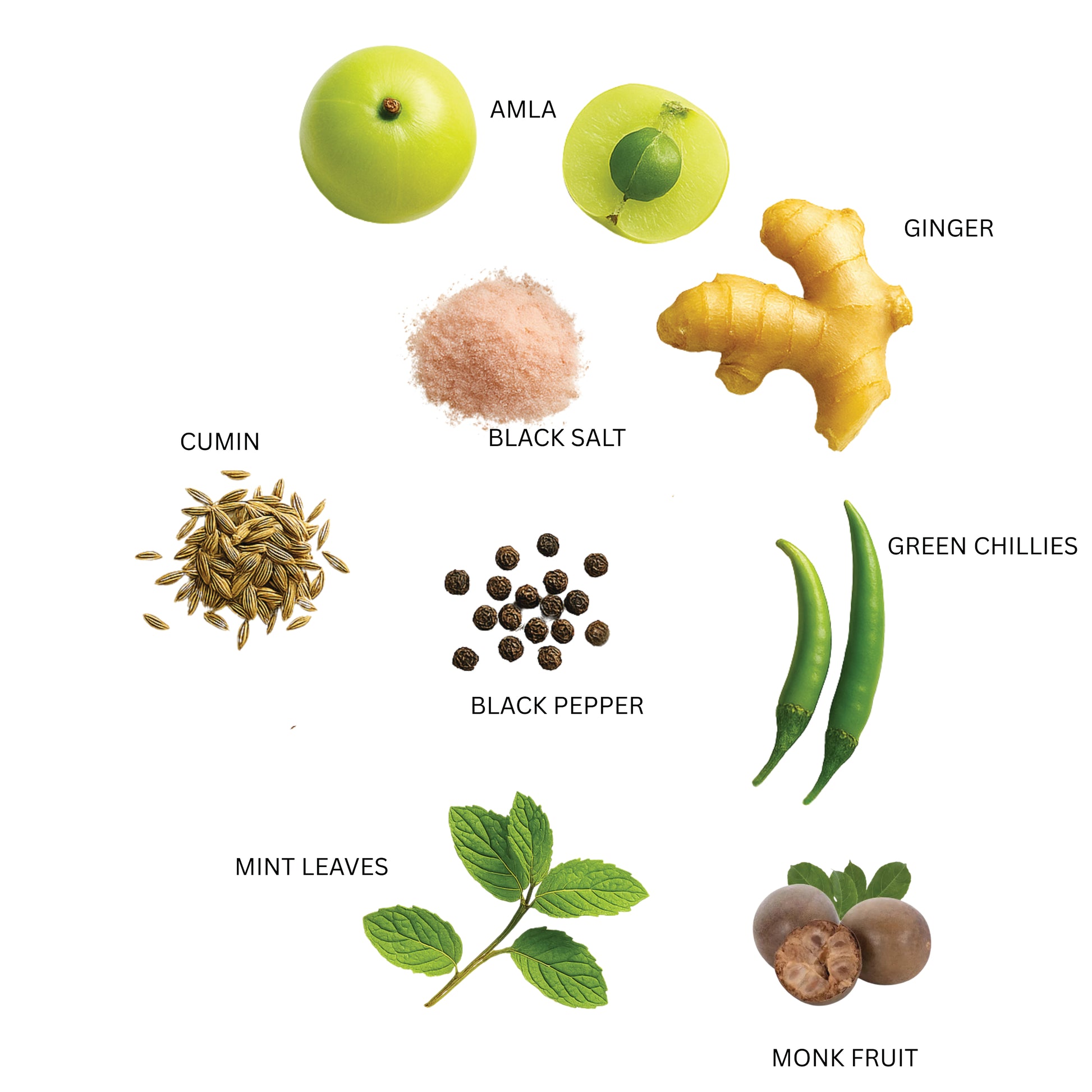 Collection of spices and herbs with labels on a white background ingredients of zenya amla ginger drink