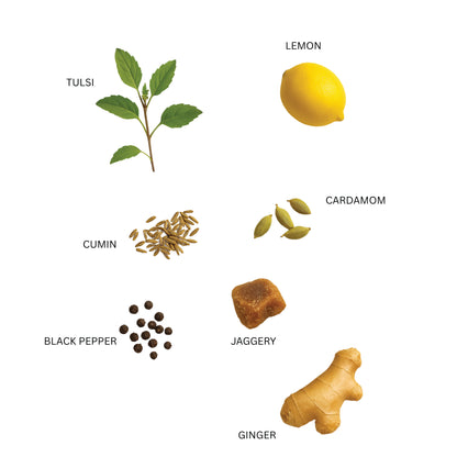 Illustrations of various spices and herbs with labels on a white background ingredients of zenya tulsi ginger drink