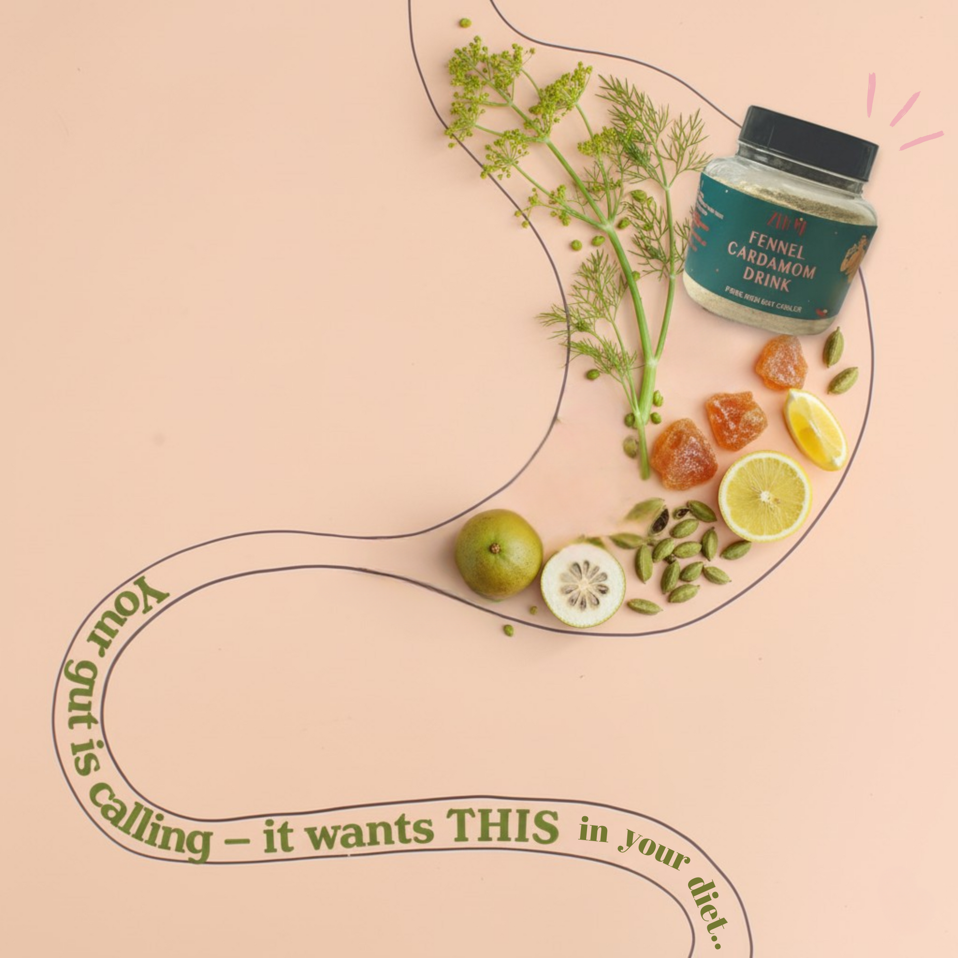 Fennel cardamom drink jar with ingredients on a pink background