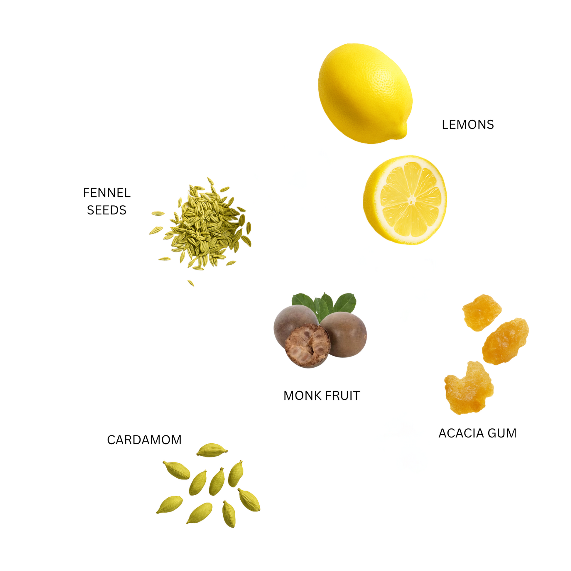 Illustrations of fennel, lemons, monk fruit, and acacia gum on a white background zenya fennel cardamom drink ingredients