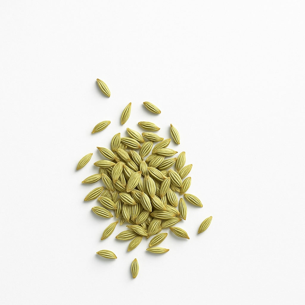 fennel seeds scattered on a white background