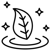 Gut-Skin Axis